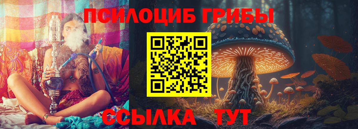 Саров  Псилоцибиновые грибы мухоморы  Вход с VPN 