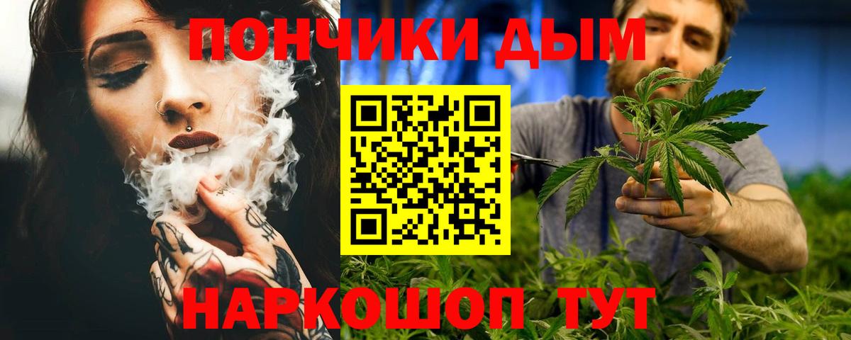 Шишки марихуана марихуана Саров